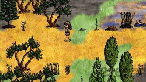 一小时人生游戏