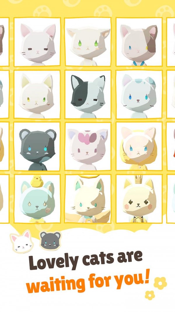 亲爱的我的貓咪