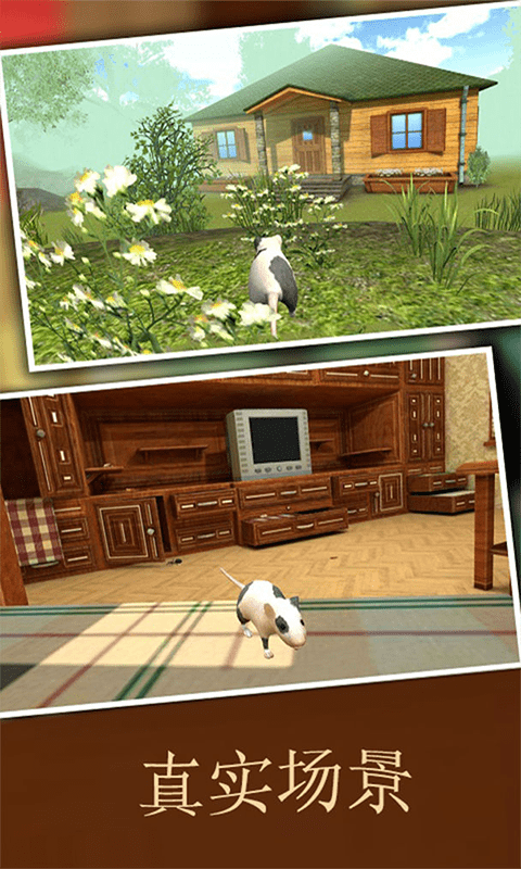 疯狂地鼠3D模拟