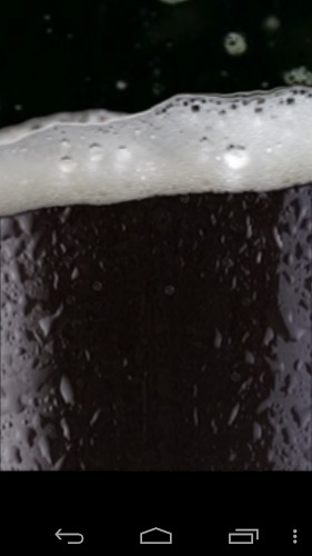 我爱喝啤酒游戏(iBeer)