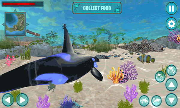 鲸鱼生存大作战