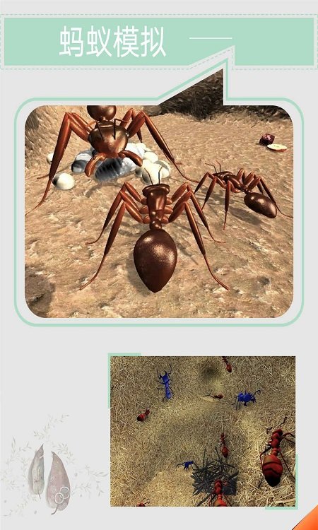 蚂蚁模拟手机版