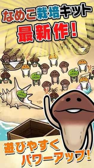 滑子菇栽培套装