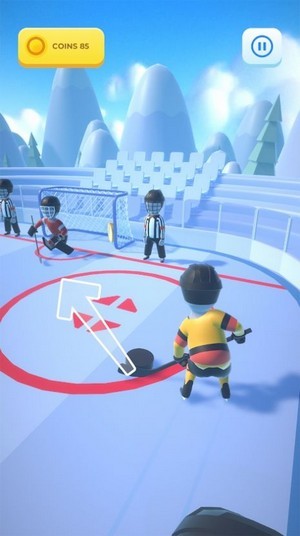 曲棍球冲突与战斗