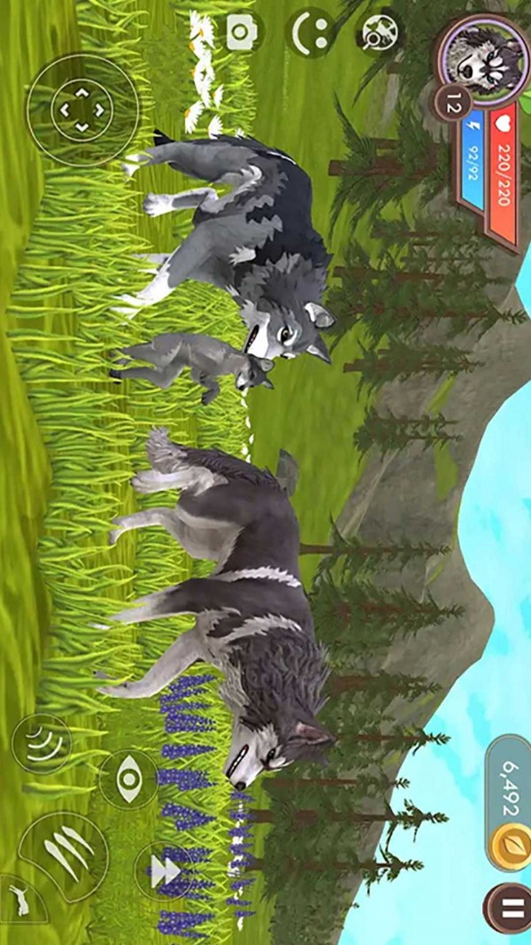 荒野猎豹模拟器