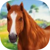 我的野马骑行故事