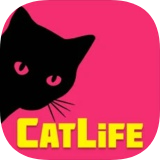 猫生模拟器