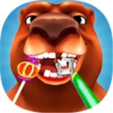 牙科医生动物医院