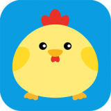 小鸡快乐下蛋