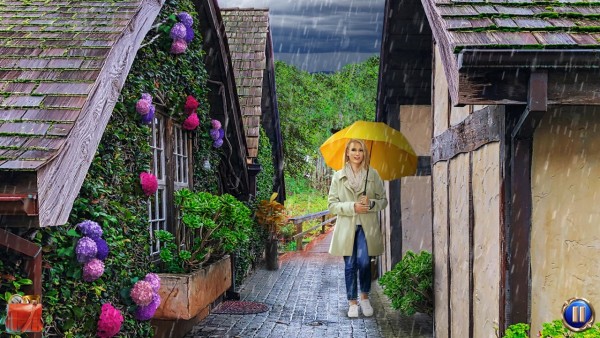 福格角致命事件