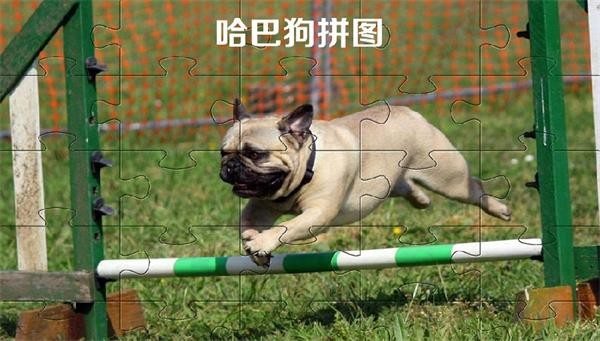 哈巴狗拼图