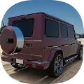 G65停车模拟器