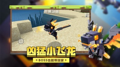 我的世界色盲派对