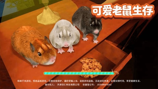 可爱老鼠生存