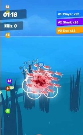 水下捕食者竞赛