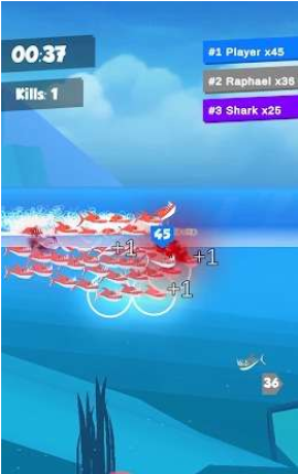 水下捕食者竞赛