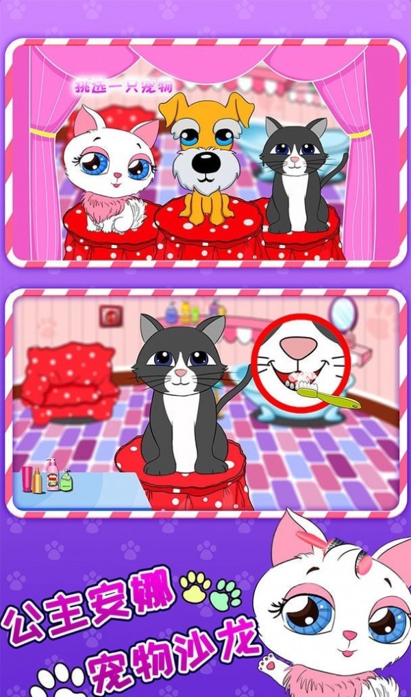 公主安娜宠物沙龙