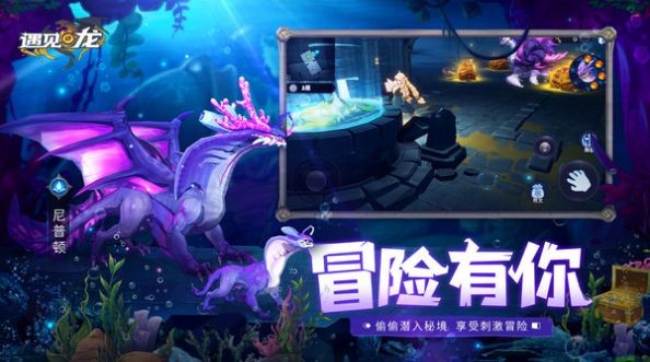 遇见龙之地城冒险