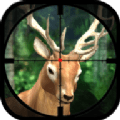 狩猎驼鹿