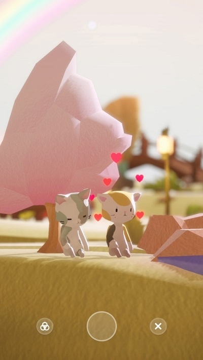 亲爱的猫咪Dear My Cat