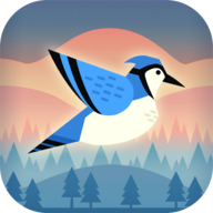 蹦跳小鸟无限金币版