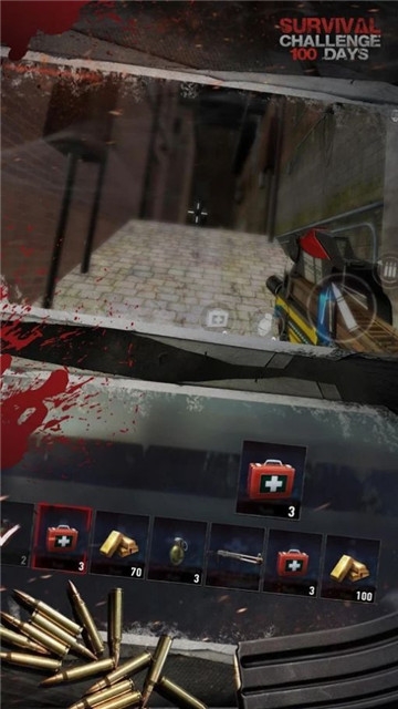 生存挑战100天中文版