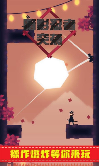 暗影忍者突袭游戏