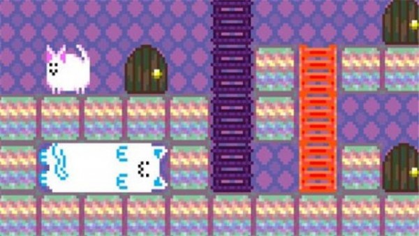 你是一只软软圆圆猫猫