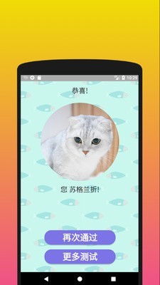 你是什么样的猫