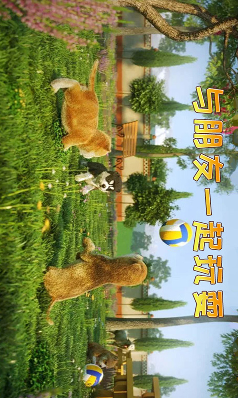 小猫历险记中文版