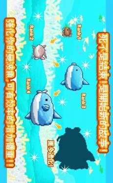 活下去曼波鱼游戏