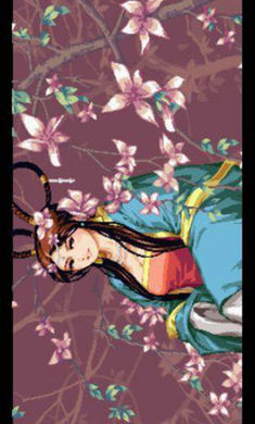 三国战纪2内置金手指版