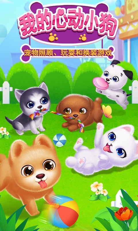 我的心动小狗
