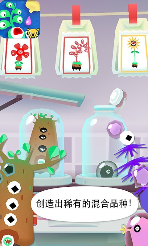 宝宝植物盆栽试验