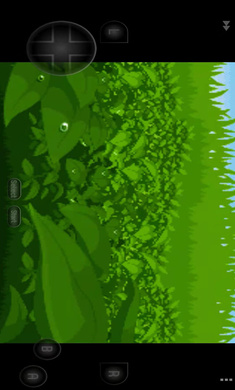 口袋妖怪究极绿宝石3修复版