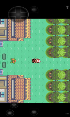 口袋妖怪究极绿宝石3修复版