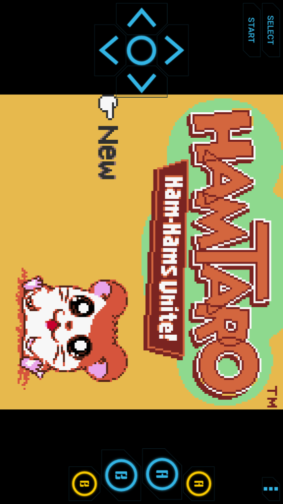 gbc模拟器汉化版(adva gbc gb simulator)