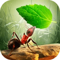 小蚂蚁部落内购版