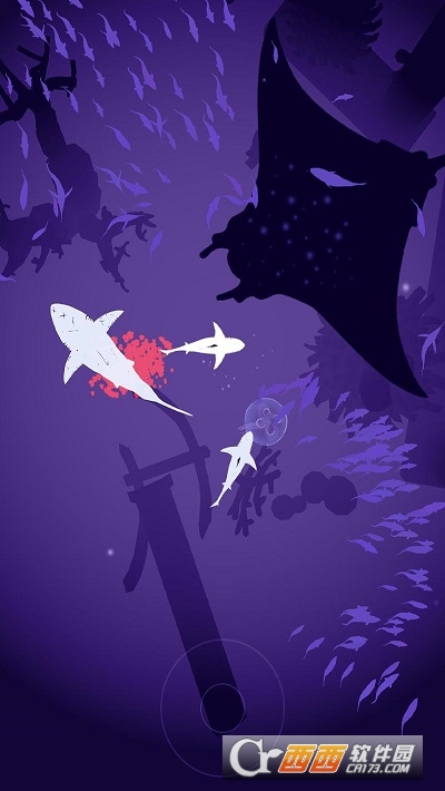 浅滩鱼群Shoal of fish