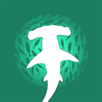 浅滩鱼群Shoal of fish