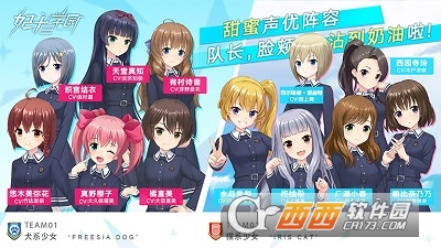 妃十三学园日服