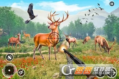 冒险的丛林游戏