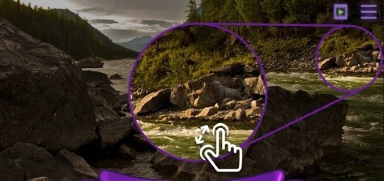 寻找猫隐藏对象