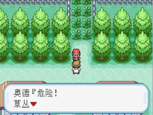 口袋妖怪暗古神坛传说