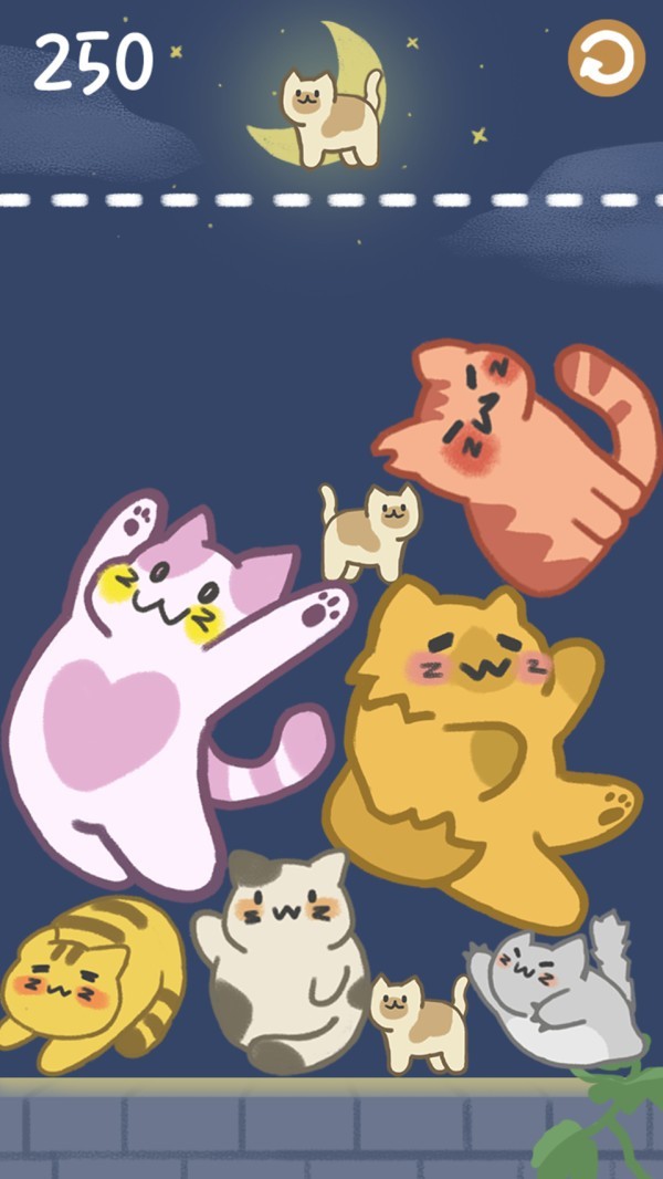 猫咪满屋无限钻石金币版