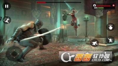 影者武士传奇英雄游戏