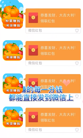 我的菜园app