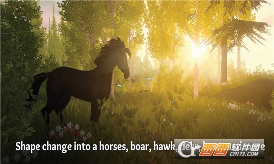 荒野Wilderless手游