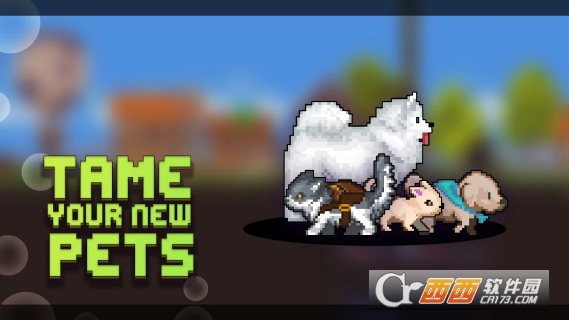 矿工城镇Miners Settlement