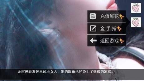 掌门请布阵无限钻石版